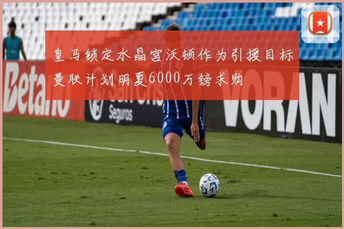 皇马锁定水晶宫沃顿作为引援目标曼联计划明夏6000万镑求购