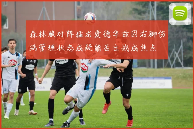 森林狼对阵猛龙爱德华兹因右脚伤病管理状态成疑能否出战成焦点